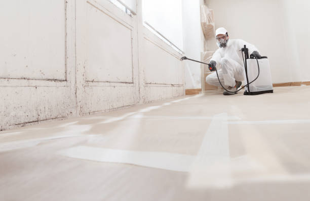 24/7 Emergency Commercial Mold Remediation experts in Cape Charles, VA