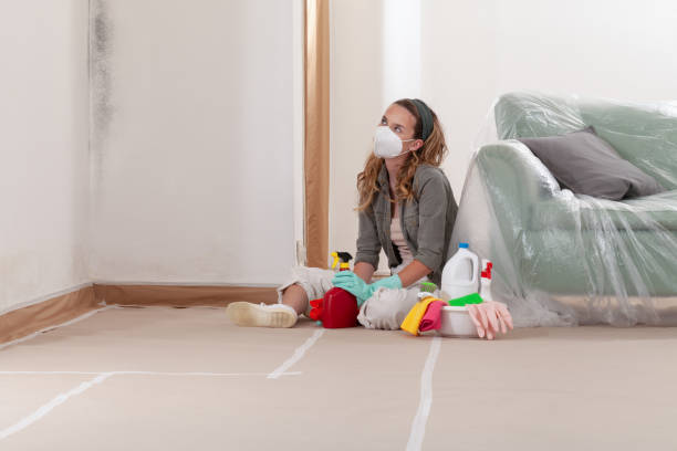Reliable Commercial Mold Remediation contractor in Cape Charles, VA by 24 Hour Mold Removal