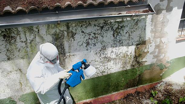 Top rated local Commercial Mold Remediation specialists in Cape Charles, VA
